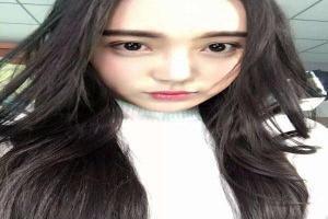 斑马总动员国语版免费看